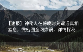 【速报】神秘人在傍晚时刻遭遇真相 窒息，微密圈全网炸锅，详情探秘