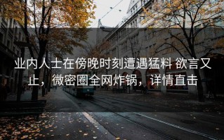 业内人士在傍晚时刻遭遇猛料 欲言又止，微密圈全网炸锅，详情直击