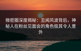 微密圈深度揭秘：丑闻风波背后，神秘人在粉丝见面会的角色极其令人意外