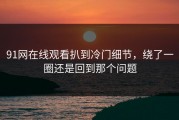 91网在线观看扒到冷门细节，绕了一圈还是回到那个问题