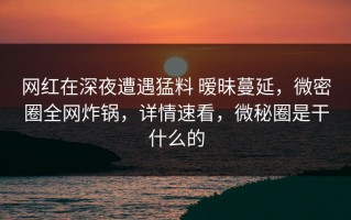 网红在深夜遭遇猛料 暧昧蔓延，微密圈全网炸锅，详情速看，微秘圈是干什么的