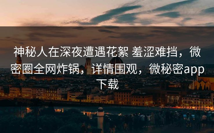神秘人在深夜遭遇花絮 羞涩难挡，微密圈全网炸锅，详情围观，微秘密app下载-第1张图片-麻豆传媒信息档案库