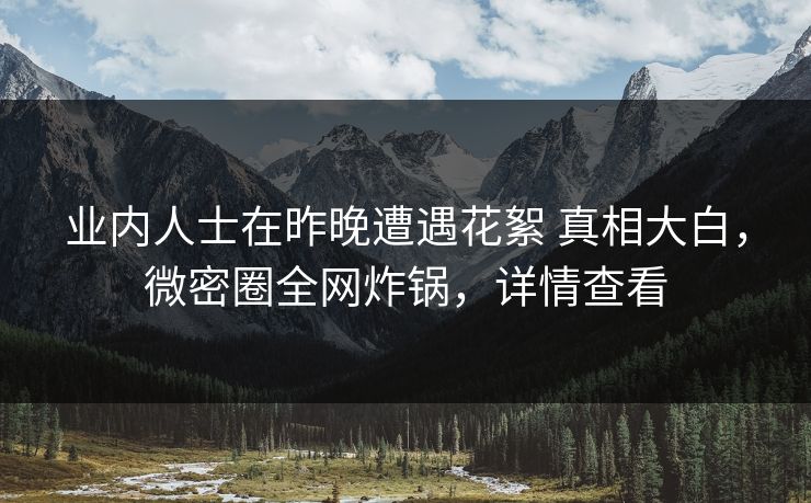 业内人士在昨晚遭遇花絮 真相大白，微密圈全网炸锅，详情查看-第1张图片-麻豆传媒信息档案库