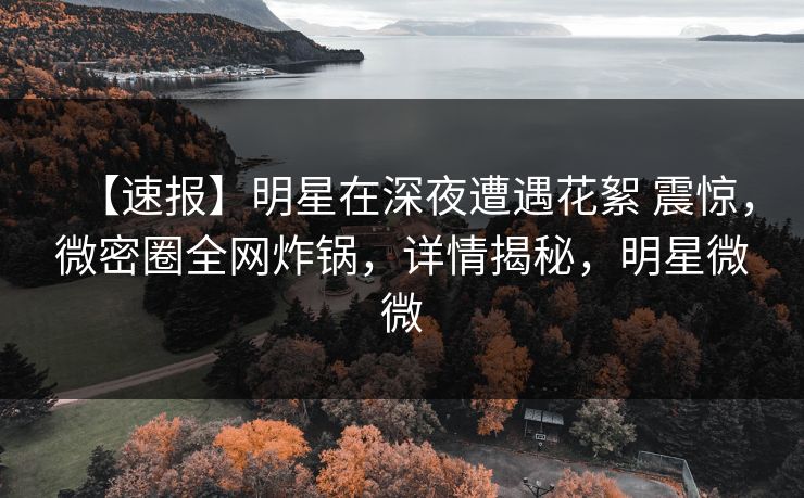 【速报】明星在深夜遭遇花絮 震惊，微密圈全网炸锅，详情揭秘，明星微微-第1张图片-麻豆传媒信息档案库