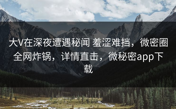 大V在深夜遭遇秘闻 羞涩难挡，微密圈全网炸锅，详情直击，微秘密app下载-第1张图片-麻豆传媒信息档案库
