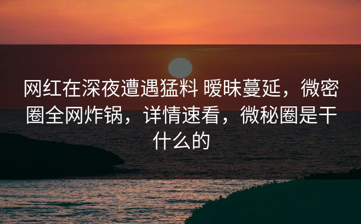 网红在深夜遭遇猛料 暧昧蔓延，微密圈全网炸锅，详情速看，微秘圈是干什么的-第1张图片-麻豆传媒信息档案库