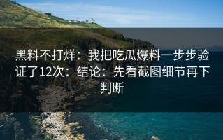 黑料不打烊：我把吃瓜爆料一步步验证了12次：结论：先看截图细节再下判断