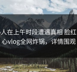神秘人在上午时段遭遇真相 脸红，糖心vlog全网炸锅，详情围观