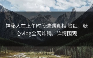 神秘人在上午时段遭遇真相 脸红，糖心vlog全网炸锅，详情围观