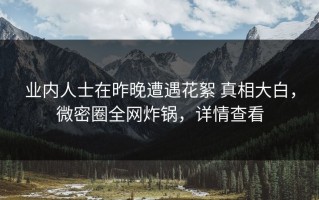 业内人士在昨晚遭遇花絮 真相大白，微密圈全网炸锅，详情查看