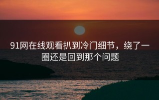 91网在线观看扒到冷门细节，绕了一圈还是回到那个问题