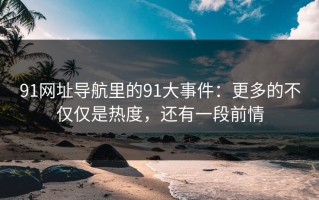 91网址导航里的91大事件：更多的不仅仅是热度，还有一段前情