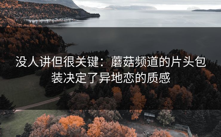 没人讲但很关键：蘑菇频道的片头包装决定了异地恋的质感-第1张图片-麻豆传媒信息档案库